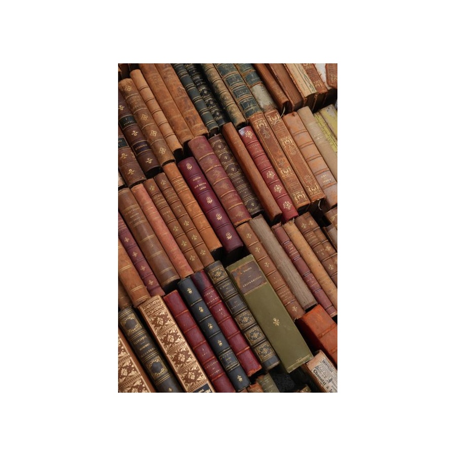 19th-Century Antique Books