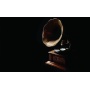Working Gramophone