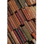 Dutch Antique Books